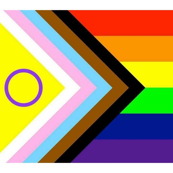 Intersekse Progress Pride vlag (M) Çavaria Webshop